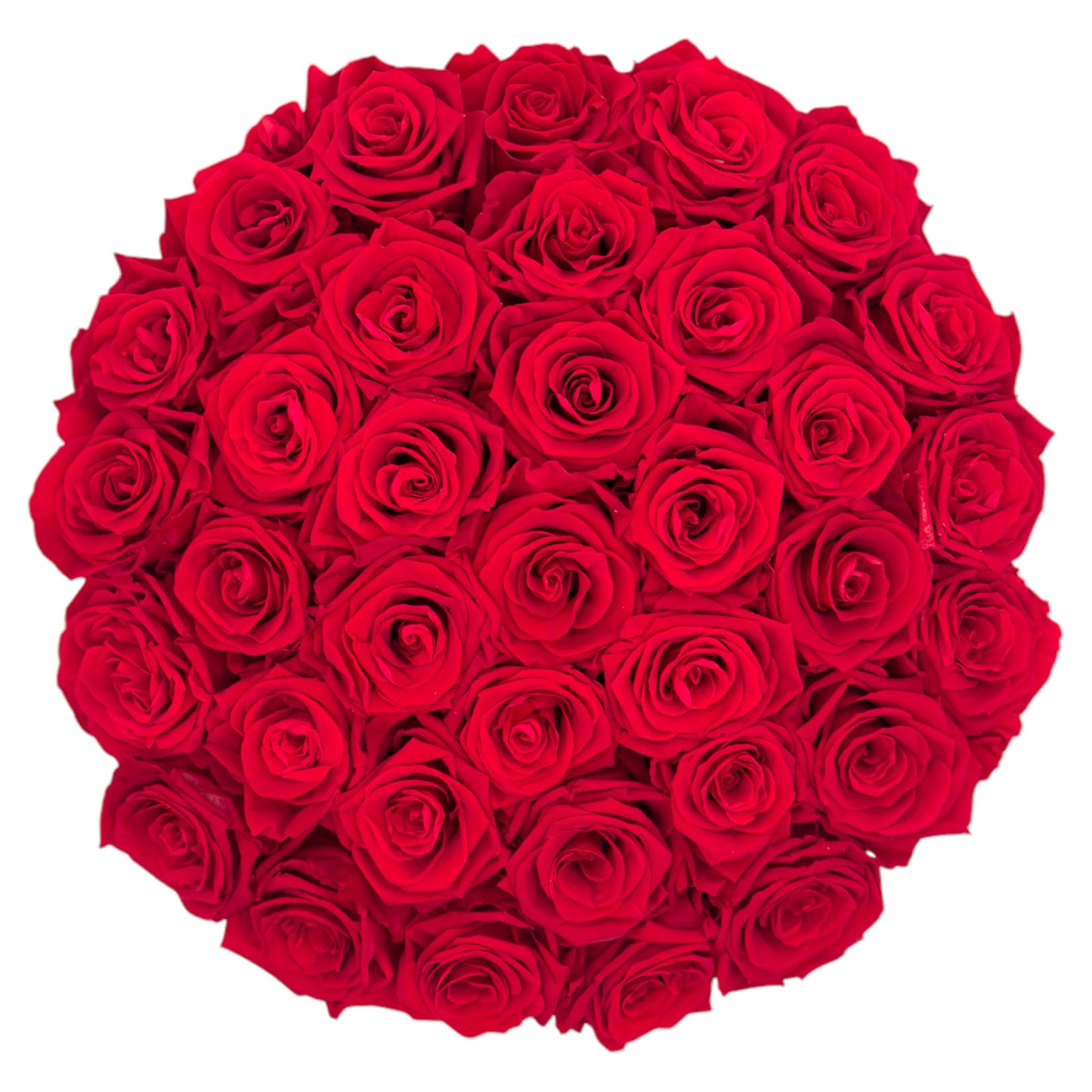 Dome Classic Round Box