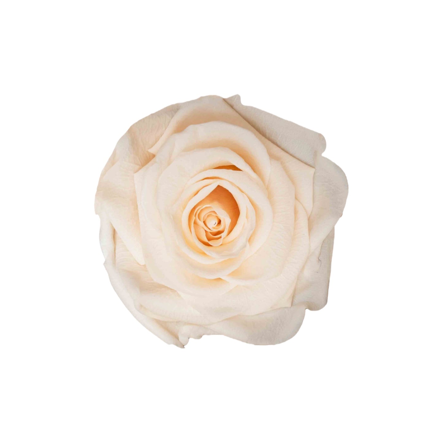 Black Square Box Traditional